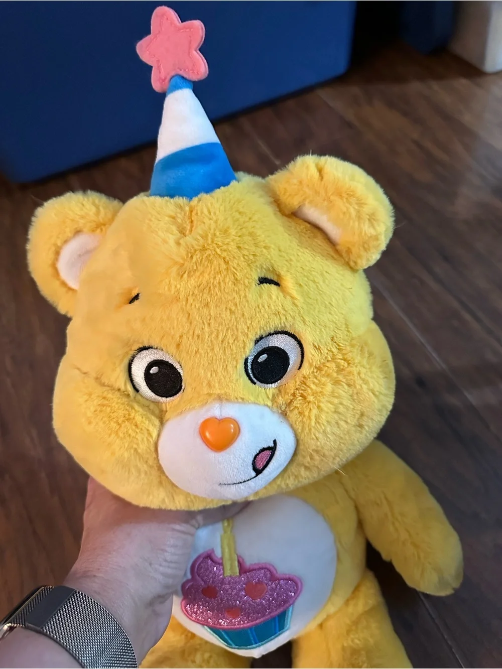 Care‎ bear Birthday Bear with Cupcake Design